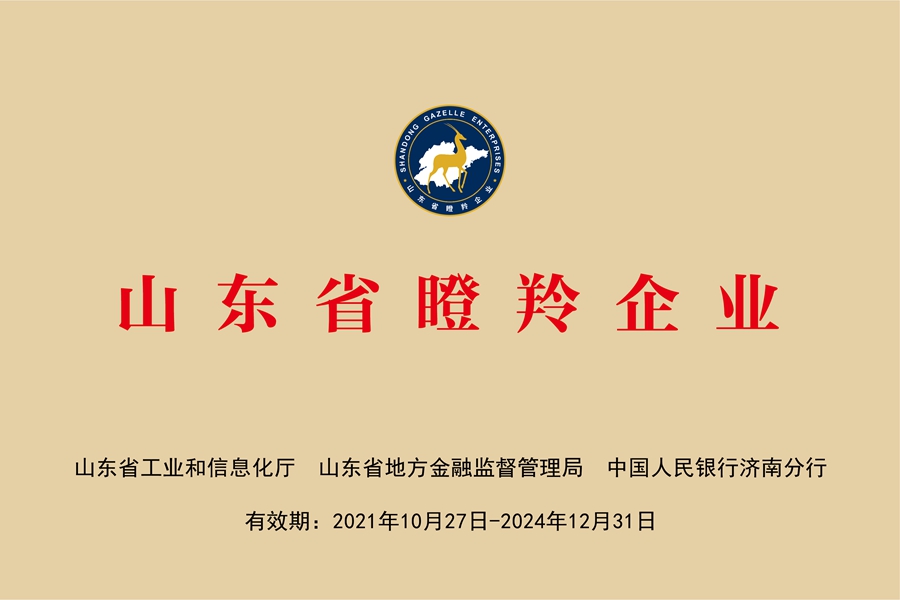 国网中电公司：山东省瞪羚企业